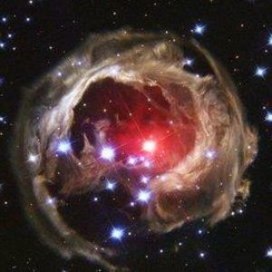 Meet your Posher, Martha